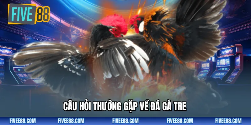 Câu hỏi thường gặp về đá gà tre