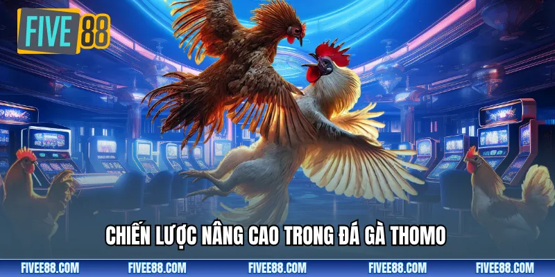 Chiến lược nâng cao trong đá gà thomo