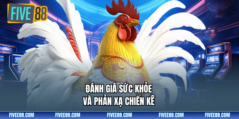 Đánh giá sức khỏe và phản xạ chiến kê