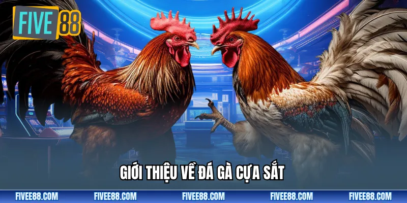 Giới thiệu về đá gà cựa sắt